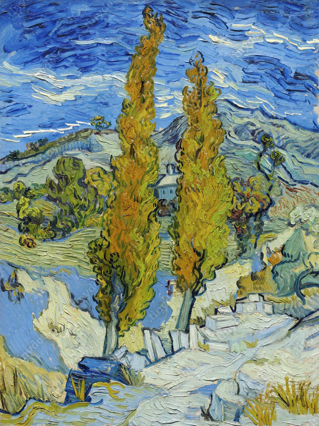 Ingelijste afbeelding op canvas Vincent van Gogh De populieren bij Saint Remy 1889