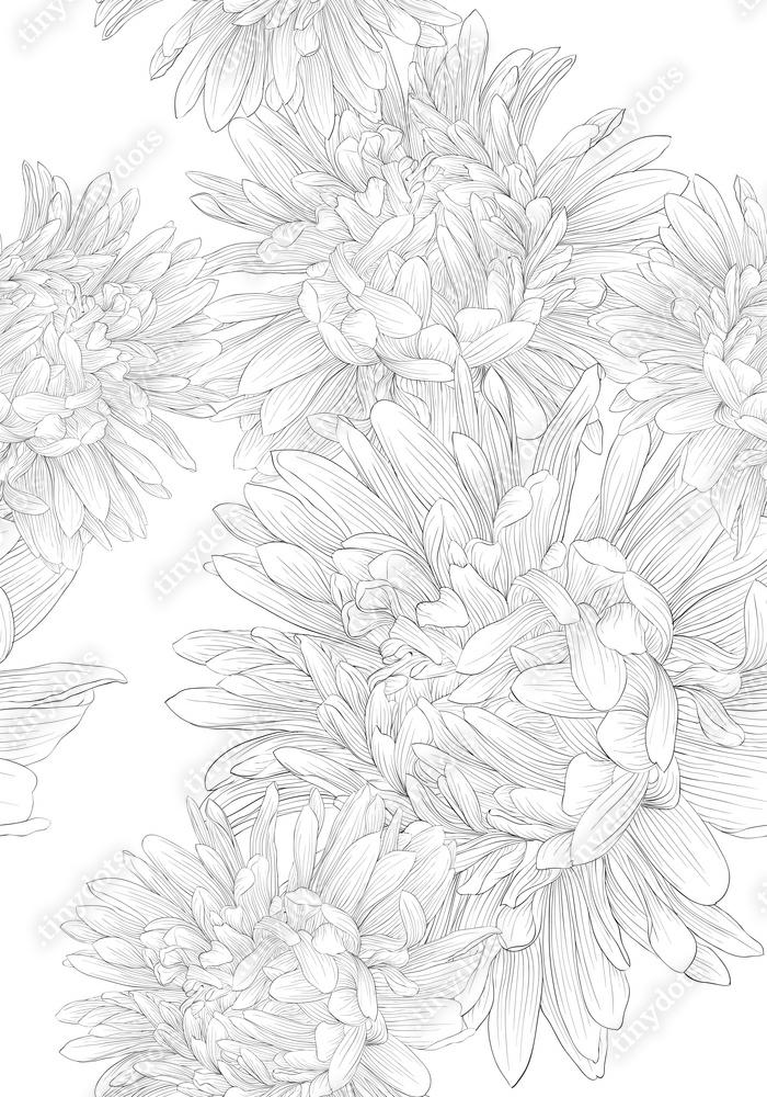 Fotobehang Mooie monochrome zwart-witte naadloze achtergrond met bloemen.