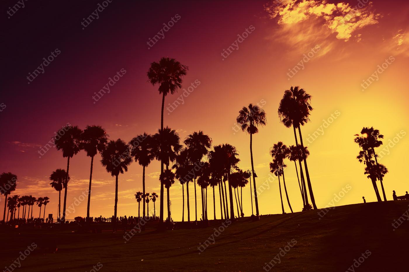 Afbeelding op acrylglas Zonsondergang bij Venice Beach, Californië, VS.
