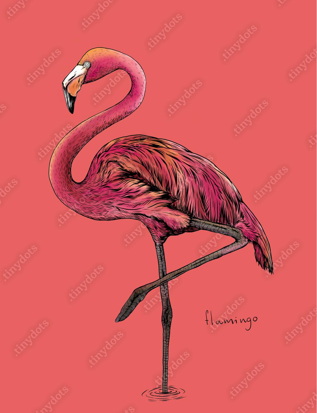Afbeelding op canvas De flamingovogel op roze achtergrond, hand trekt