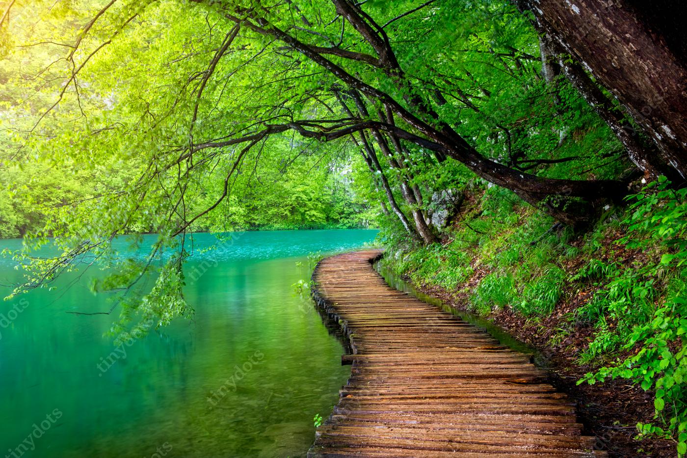 Sticker Kristalhelder water en houten pad. Plitvice meren, Kroatië